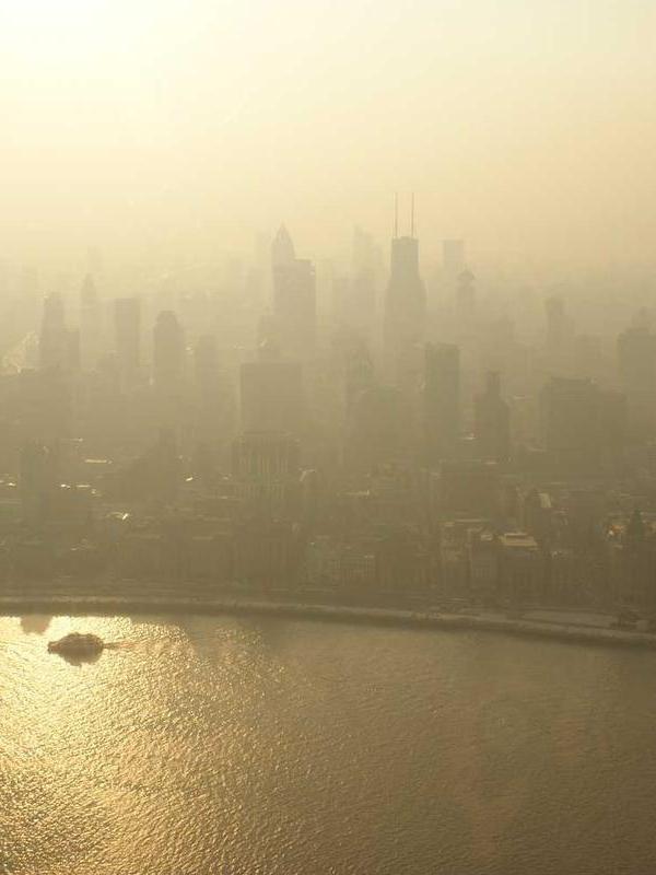 Augue quisque id venenatis integer porttitor rhoncus pretium aliquet