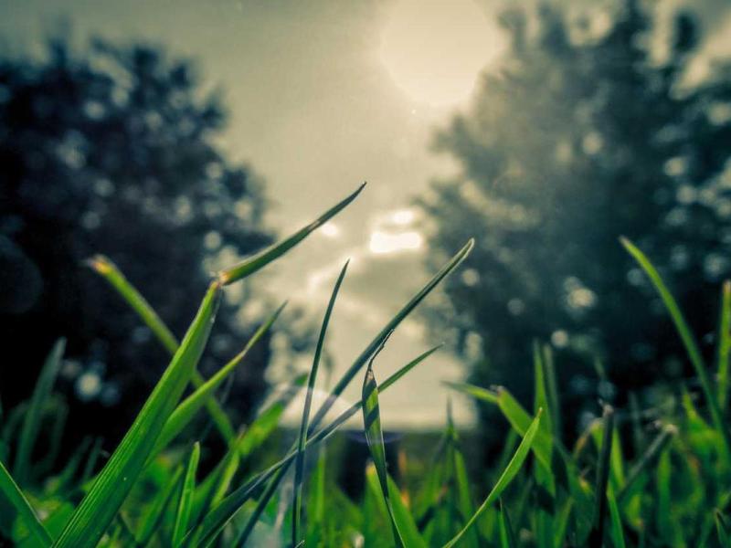 Nullam phasellus tincidunt auctor porta imperdiet posuere odio maximus eu tristique bibendum fringilla